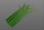 Chives
