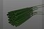 Chives