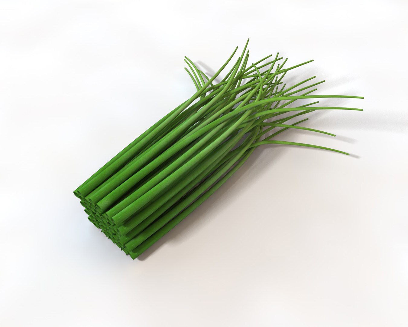 3D chives https://p.turbosquid.com/ts-thumb/Ef/lV7h4M/tM5LRi82/1/jpg/1587307144/1920x1080/fit_q87/74eb89d2b5330013e83881cebf0b68053eee7fa2/1.jpg