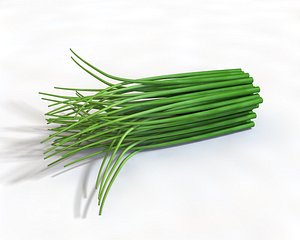 3D chives