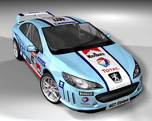 Peugeot407_Rally