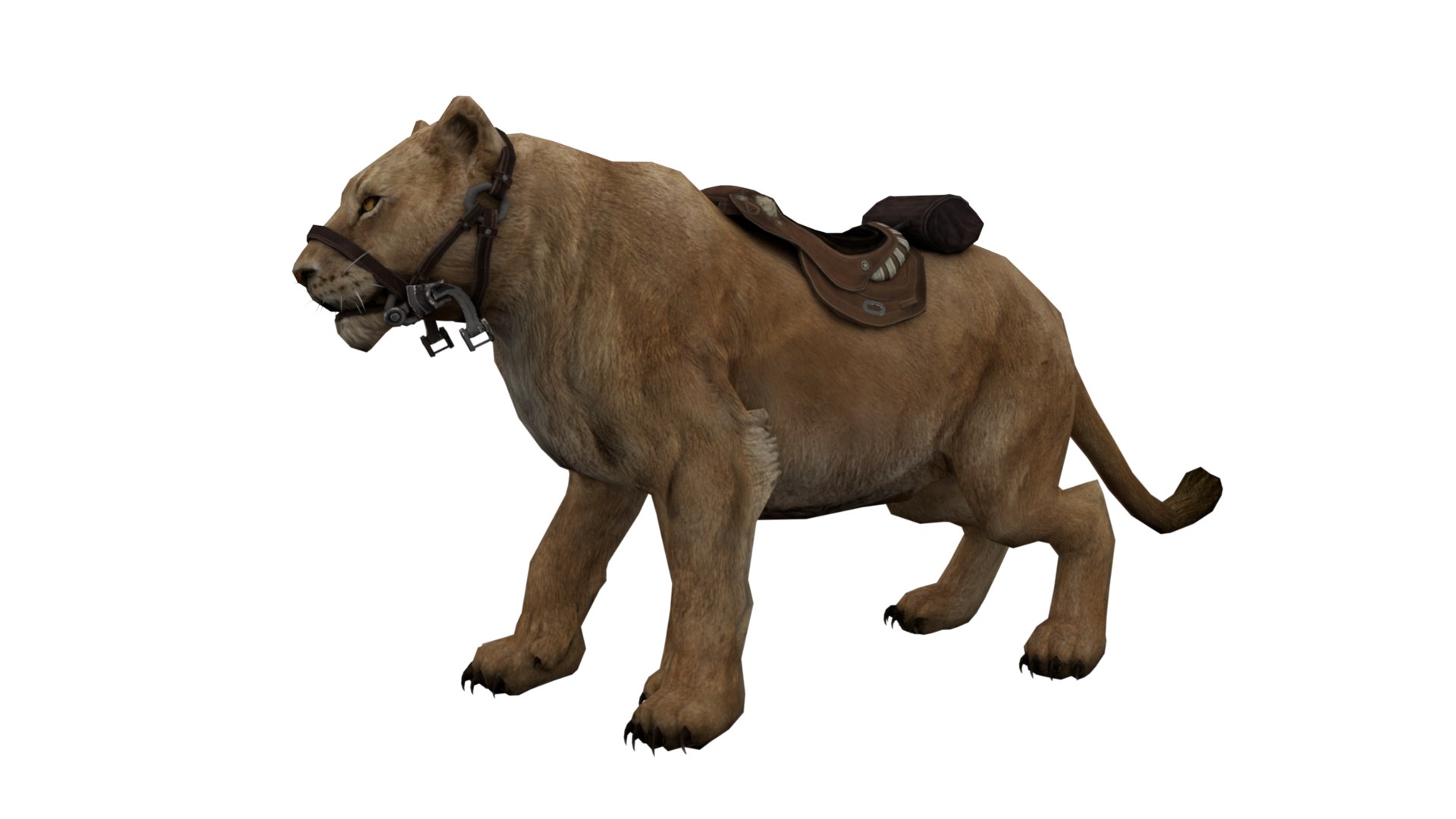 3D Tiger Rigged - TurboSquid 2186684