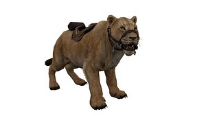 3D Tiger Rigged