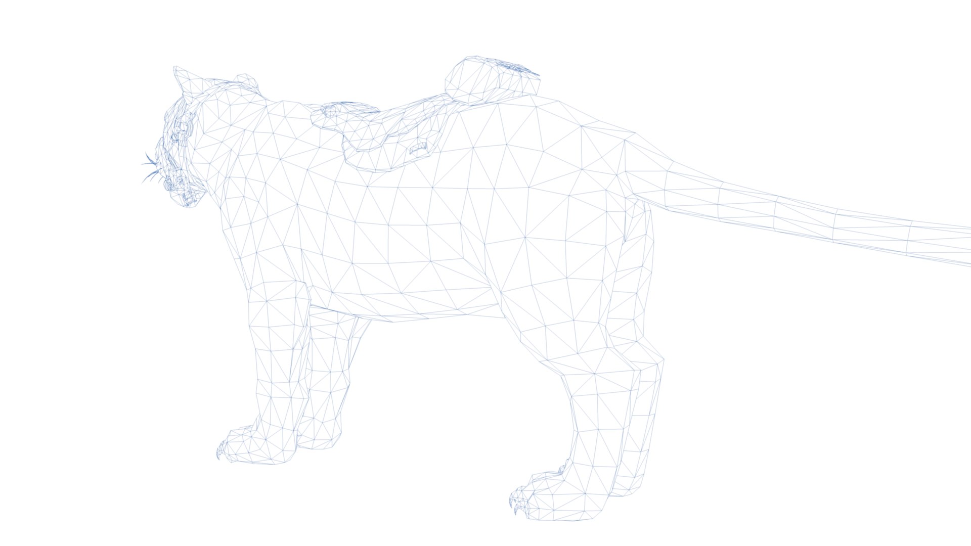 3D Tiger Rigged - TurboSquid 2186684