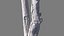 Tronc d'arbre scanné 07