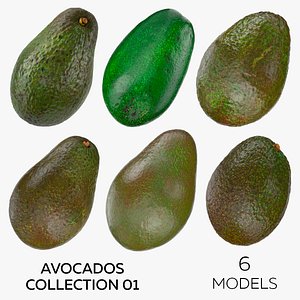Avocados Collection 01 - 6 models model