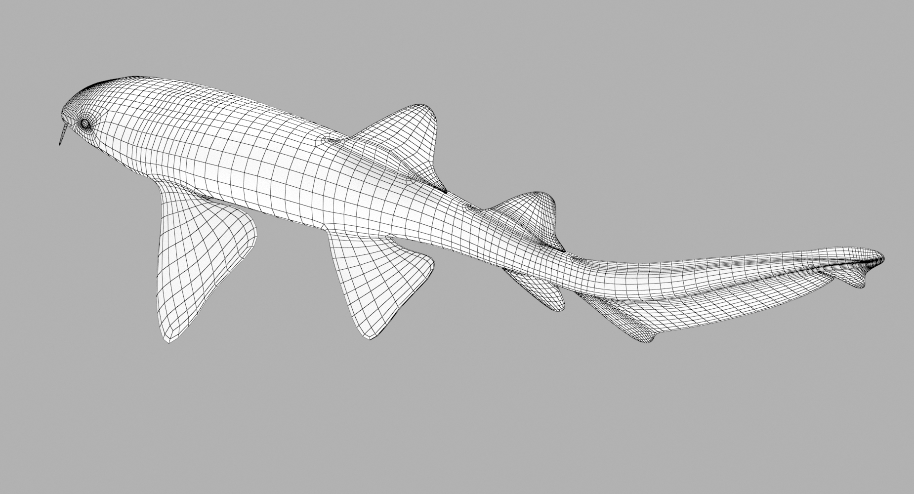 Nurse shark 3D - TurboSquid 1329781