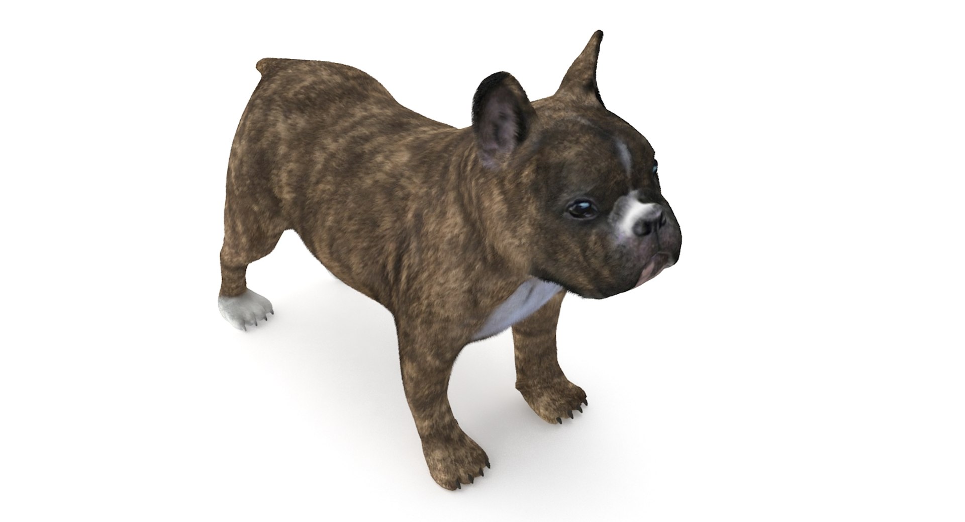 3d fur french bulldog https://p.turbosquid.com/ts-thumb/Eg/8e0C0e/2E9WZvho/frenchbulldog_7/jpg/1489184586/1920x1080/fit_q87/cf62f487bcbbb19fc361e2b2812783fa3af64282/frenchbulldog_7.jpg