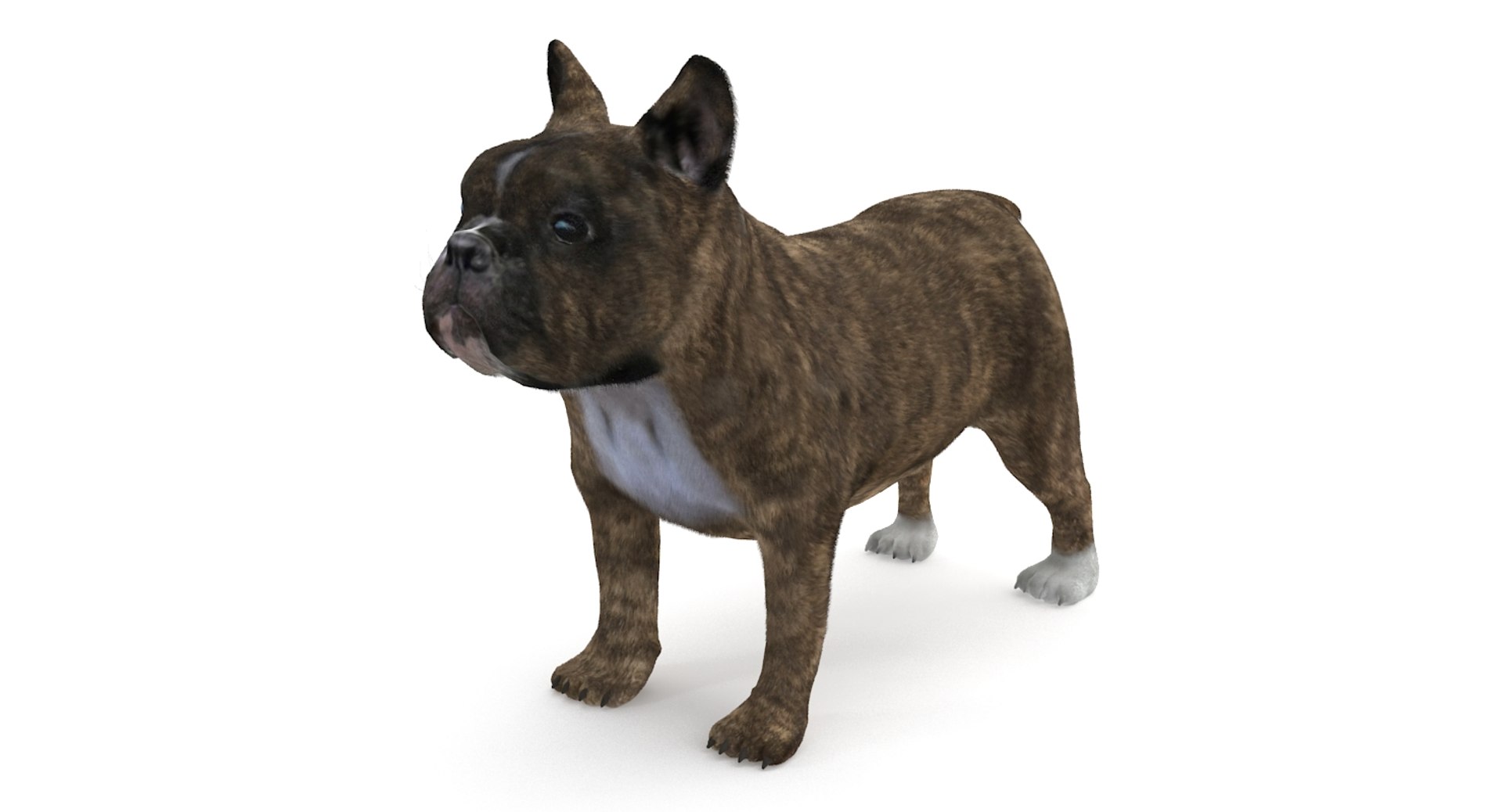 3d fur french bulldog https://p.turbosquid.com/ts-thumb/Eg/8e0C0e/IOEBCqSu/frenchbulldog_2/jpg/1489184420/1920x1080/fit_q87/6286df1845ab013ee1b957629362e027e7d5731e/frenchbulldog_2.jpg