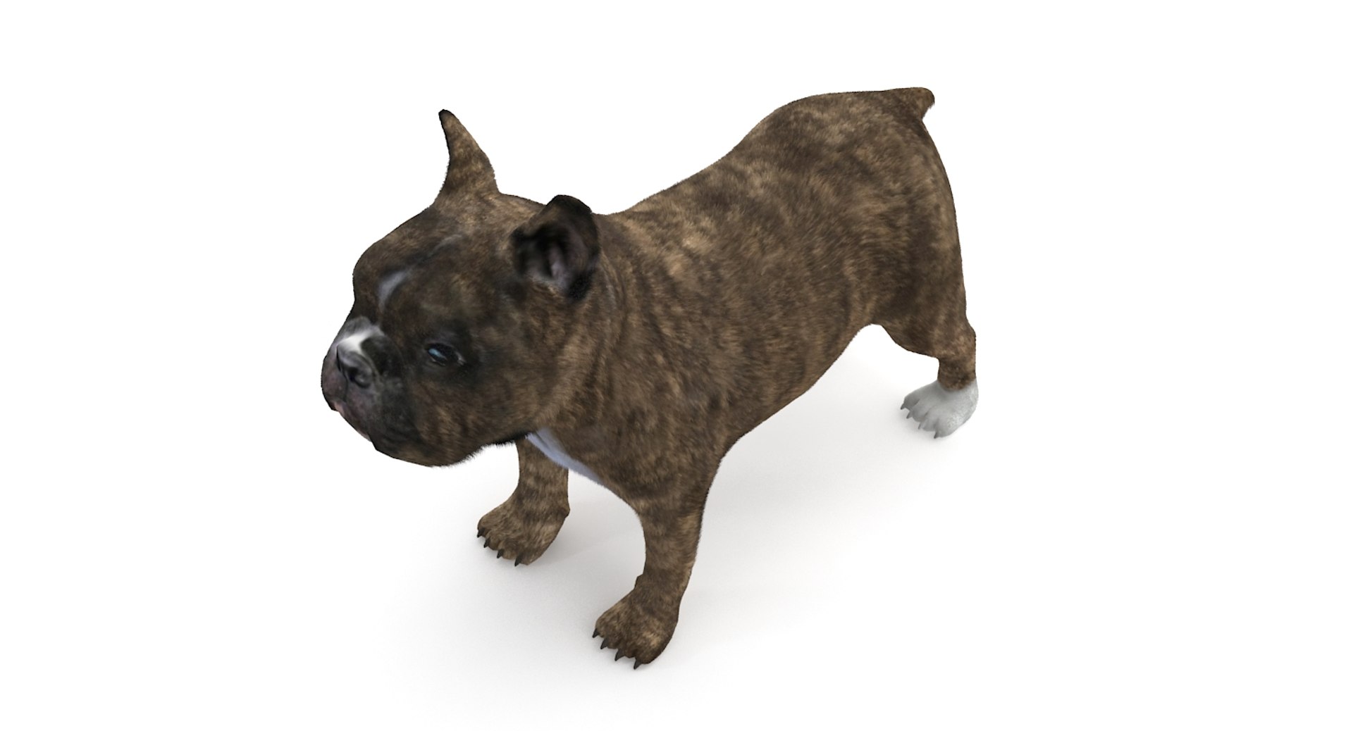 3d fur french bulldog https://p.turbosquid.com/ts-thumb/Eg/8e0C0e/Jgehmo6m/frenchbulldog_5/jpg/1489184586/1920x1080/fit_q87/1ec06c26f3b716addf4806306efeb2fdecde515b/frenchbulldog_5.jpg