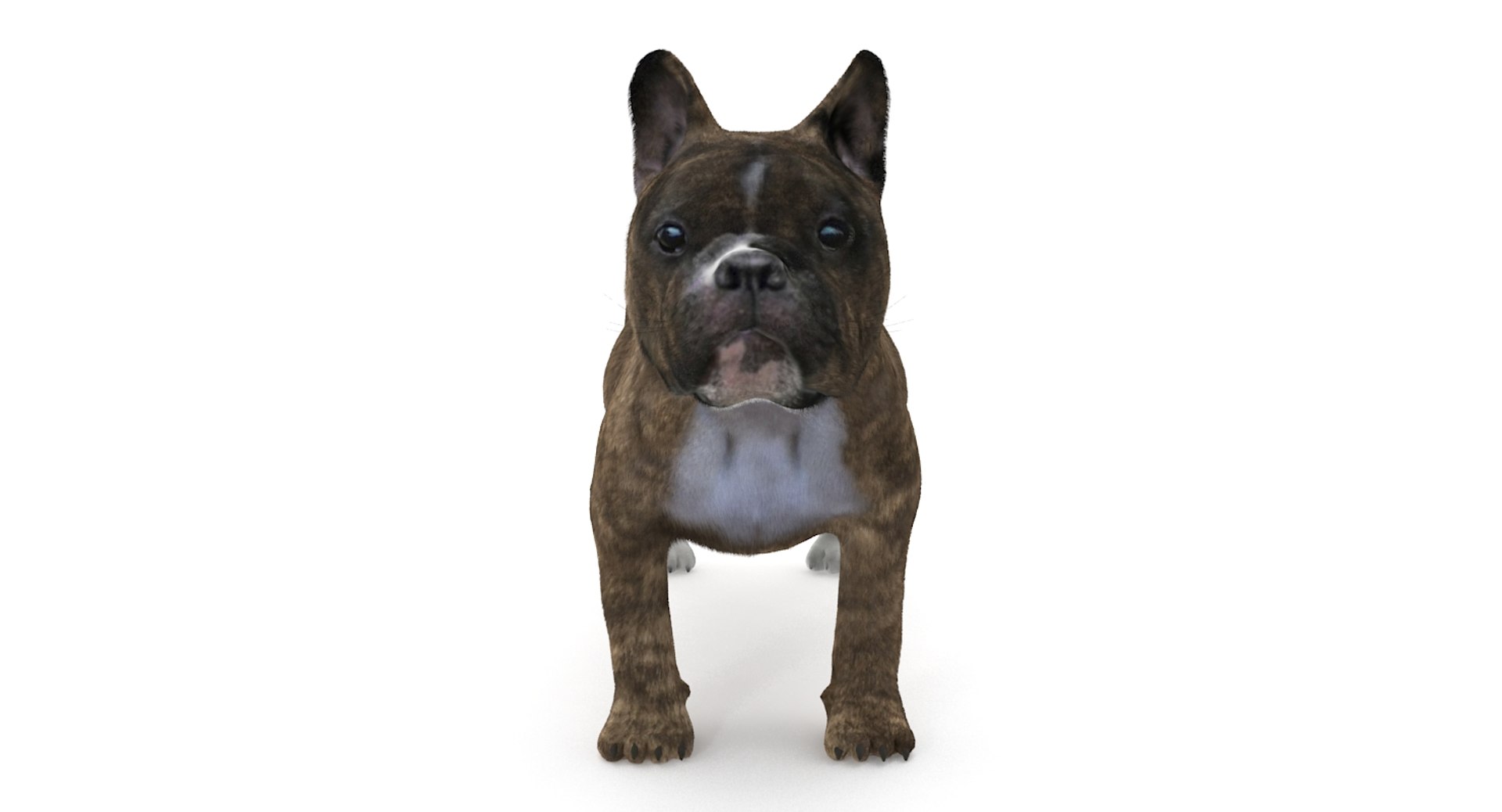 3d fur french bulldog https://p.turbosquid.com/ts-thumb/Eg/8e0C0e/UG7sp3wA/frenchbulldog_3/jpg/1489184420/1920x1080/fit_q87/f98ab655f00bcd9c7c88ad934e4987fb8b9b3401/frenchbulldog_3.jpg