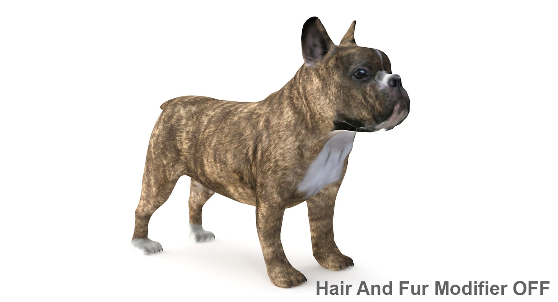 3d fur french bulldog https://p.turbosquid.com/ts-thumb/Eg/8e0C0e/jRwOeYph/frenchbulldog_14/jpg/1489184586/1920x1080/fit_q87/1192a356bacd79271b0dfa3a7a32c5a05ad634ca/frenchbulldog_14.jpg