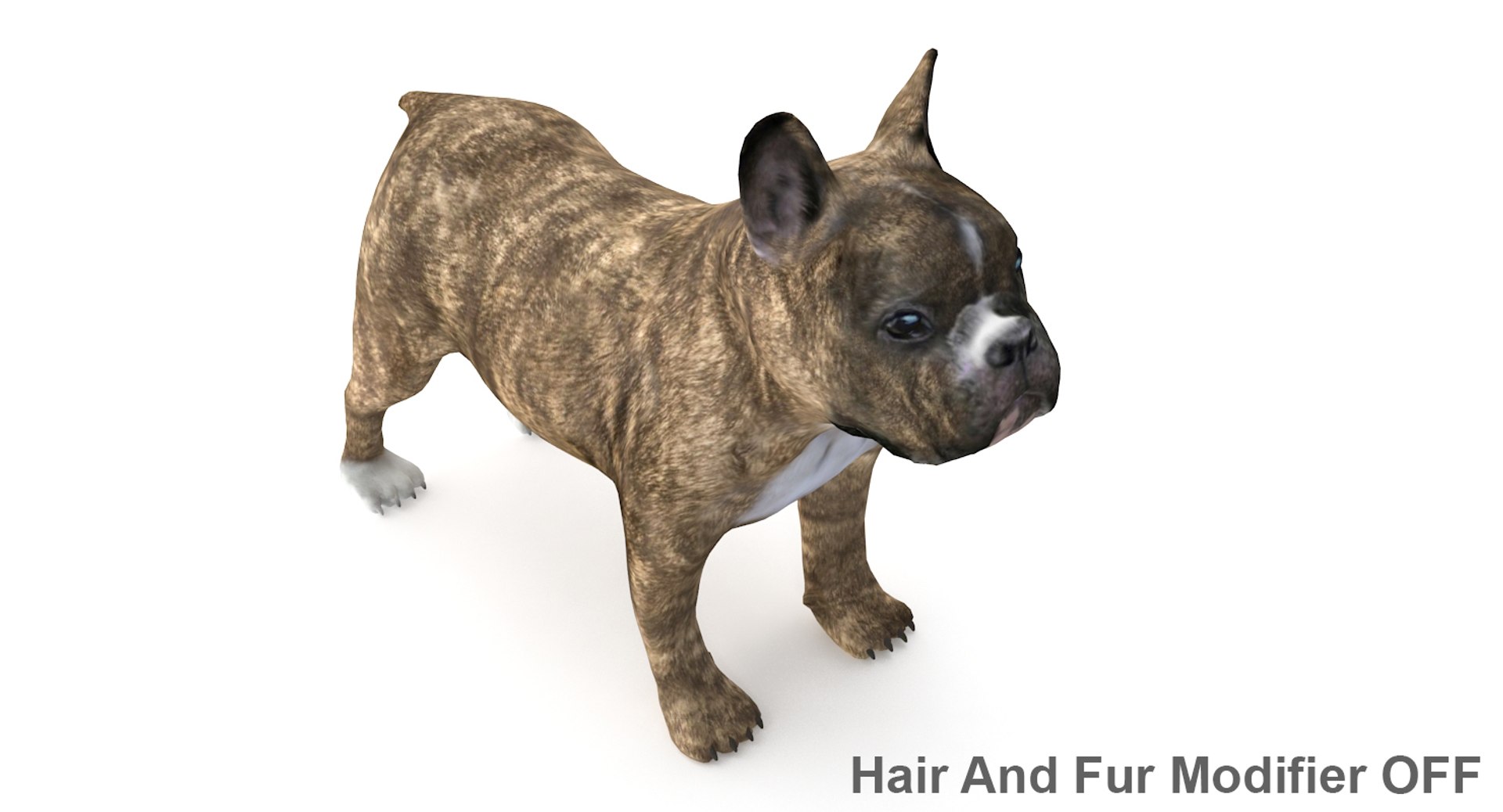 3d fur french bulldog https://p.turbosquid.com/ts-thumb/Eg/8e0C0e/mNW1e8dr/frenchbulldog_16/jpg/1489184586/1920x1080/fit_q87/0102a912d06d0b194e6e2c1094f6cccb5564b944/frenchbulldog_16.jpg
