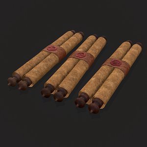 3D Medieval Chronicle Scrolls