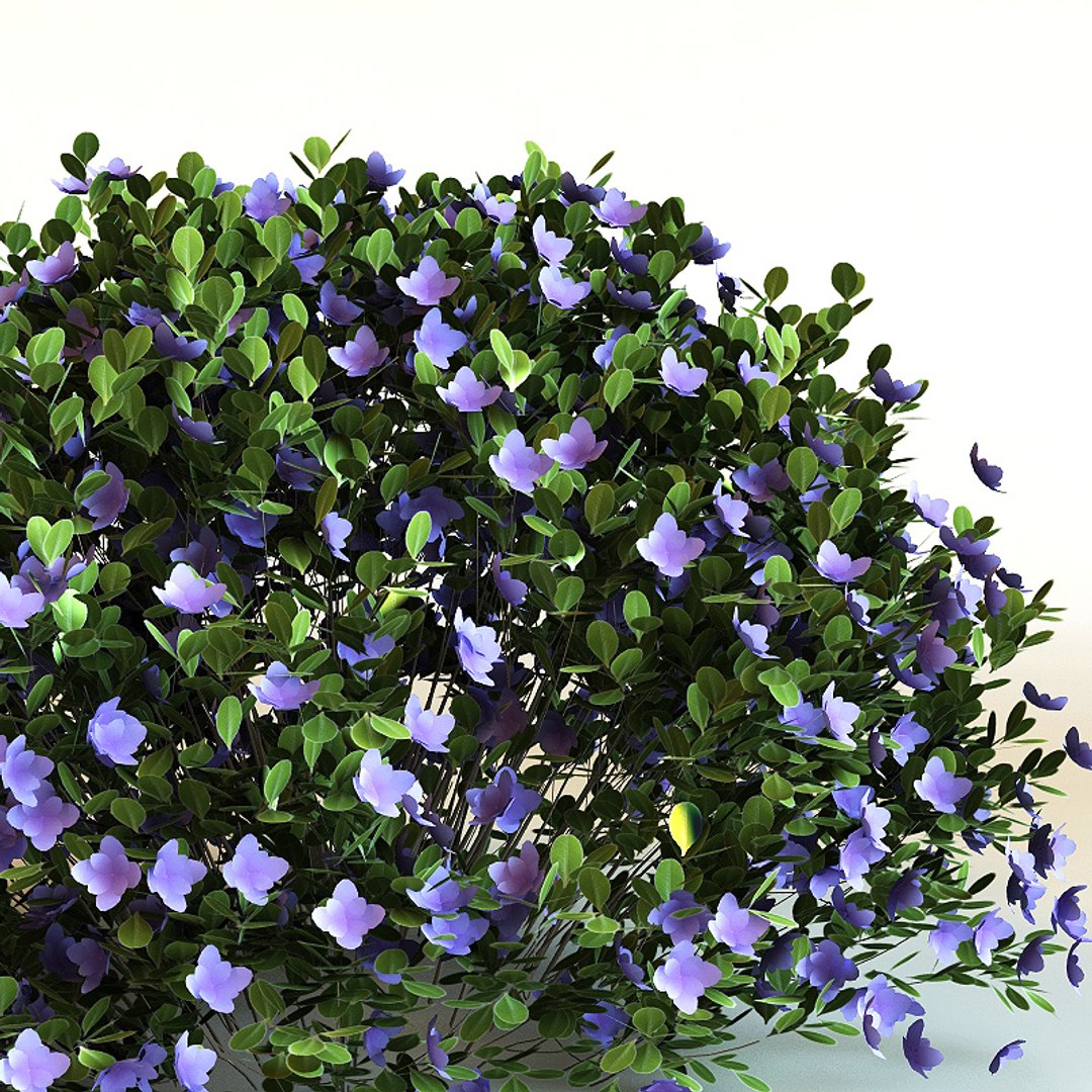 3ds max rhododendron 'purple gem' purple https://p.turbosquid.com/ts-thumb/Eg/9oHjKE/aUGM4Qwx/rp0002/jpg/1212062469/1920x1080/fit_q87/3d550107802da2789a47a488198a564dc71a314f/rp0002.jpg