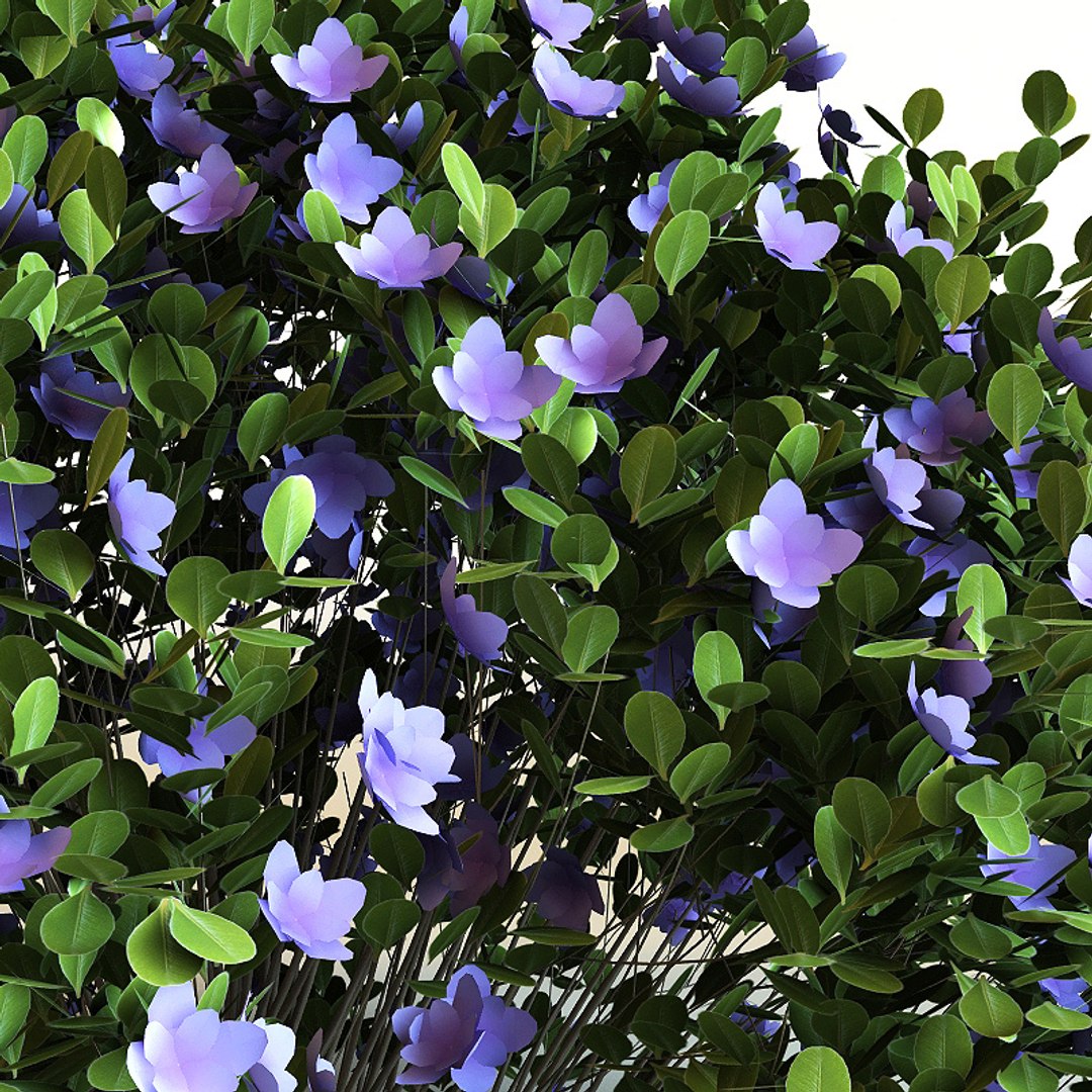3ds max rhododendron 'purple gem' purple https://p.turbosquid.com/ts-thumb/Eg/9oHjKE/yYUppRuo/rp0003/jpg/1212062473/1920x1080/fit_q87/93783961d15130ab09e444ce3f1bd95caad7c920/rp0003.jpg
