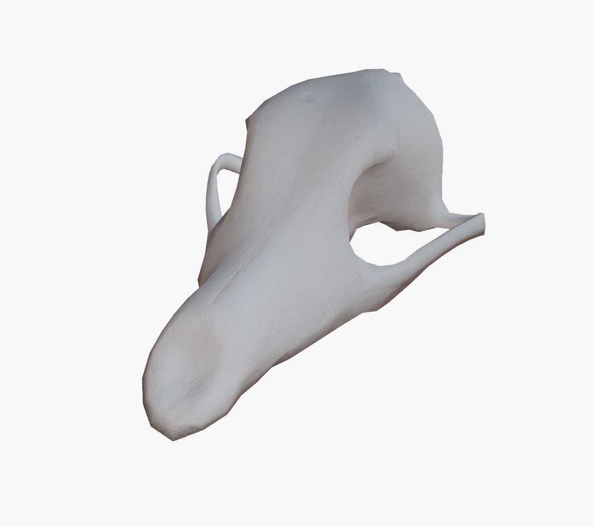 roe dear skull 3d 3ds