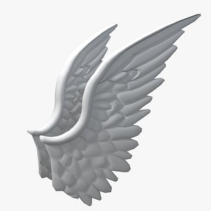 Wings