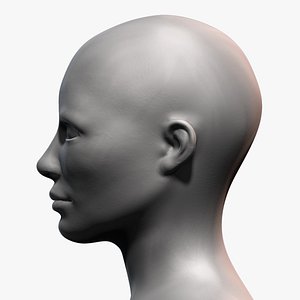 Male head sculpt human anatomy fantasy futuristic | 3D model