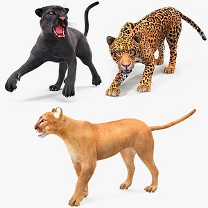 Big Cats Rigged Collection for Cinema 4D