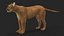 3D model Big Cats Rigged Collection for Cinema 4D