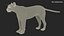 3D model Big Cats Rigged Collection for Cinema 4D