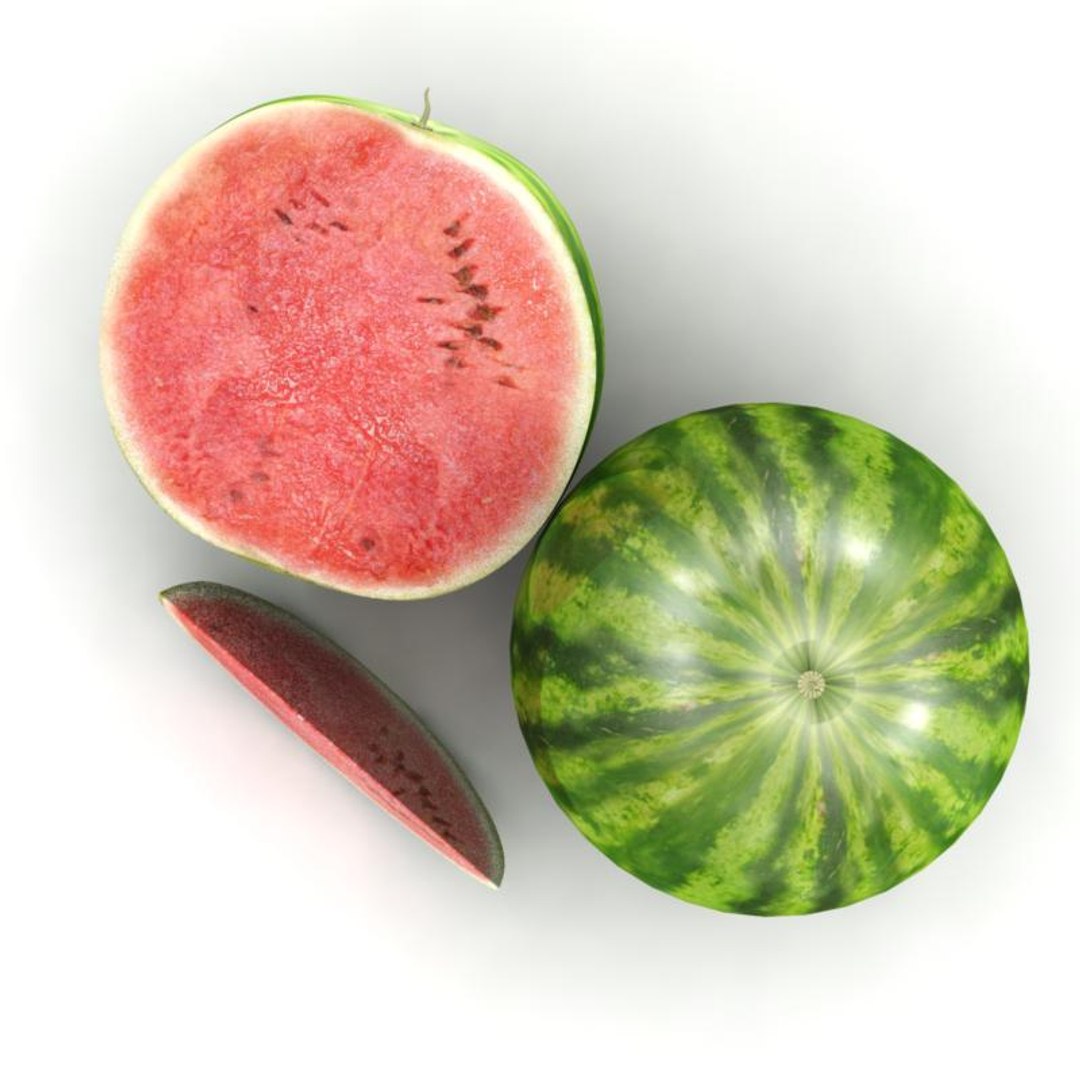 Watermelon Water Melon 3d Model