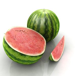 watermelon water melon 3d model