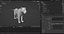 Fur Lioness Rigged and Animation in Unity