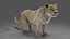 Fur Lioness Rigged and Animation in Unity
