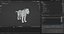 Fur Lioness Rigged and Animation in Unity