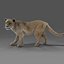Fur Lioness Rigged and Animation in Unity