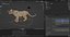 Fur Lioness Rigged and Animation in Unity