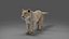 Fur Lioness Rigged and Animation in Unity