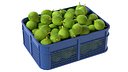 Breadfruit Plastic Crate
