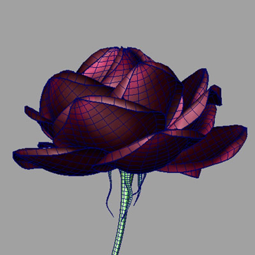 Rose Flower 3d Obj