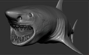 great shark sculpt 3D