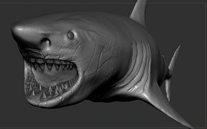 GreateWhateShark SCULPT PROJECT