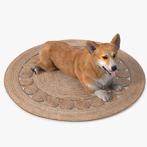 Decorative Spiral Jute Carpet with Corgi Dog On Top Fur