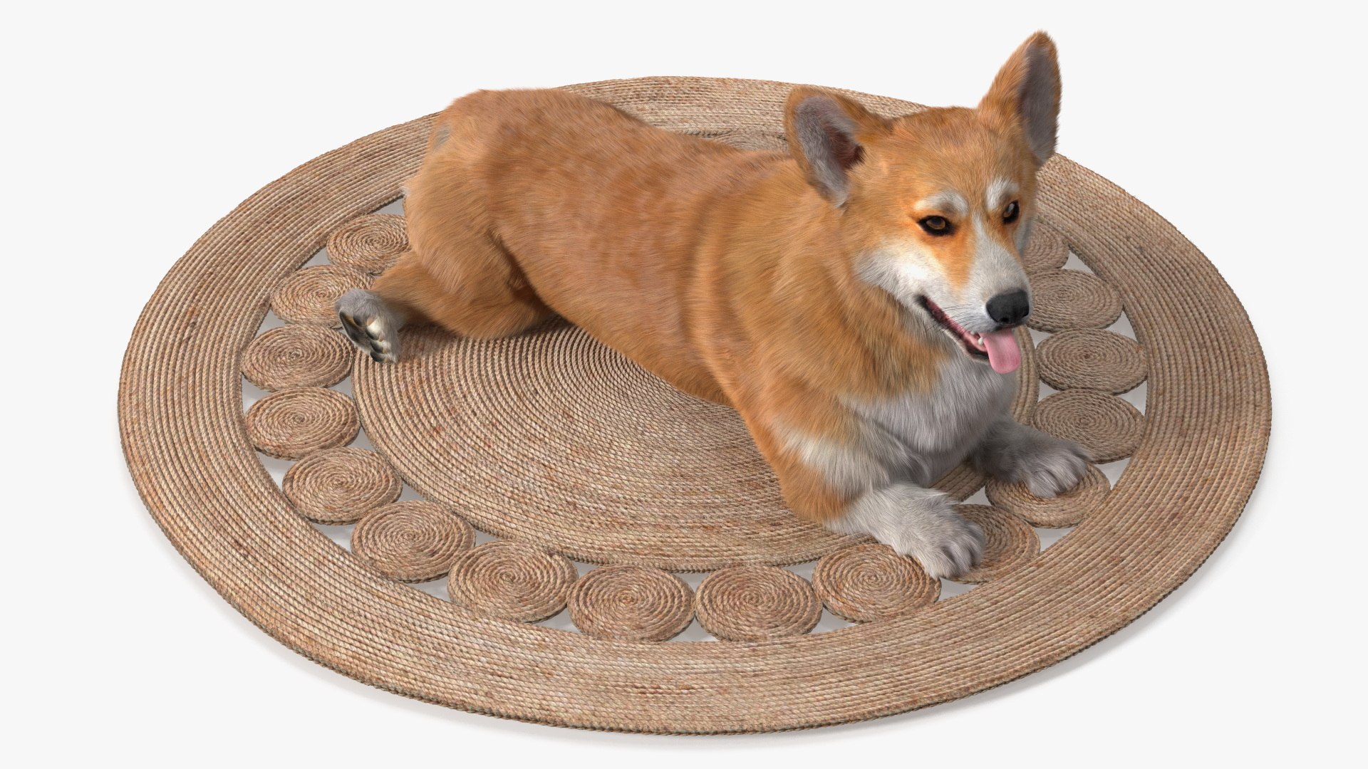 Decorative Spiral Jute Carpet with Corgi Dog On Top Fur 3D model preview