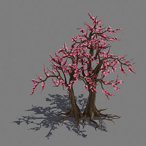 3D peach tree 336 model