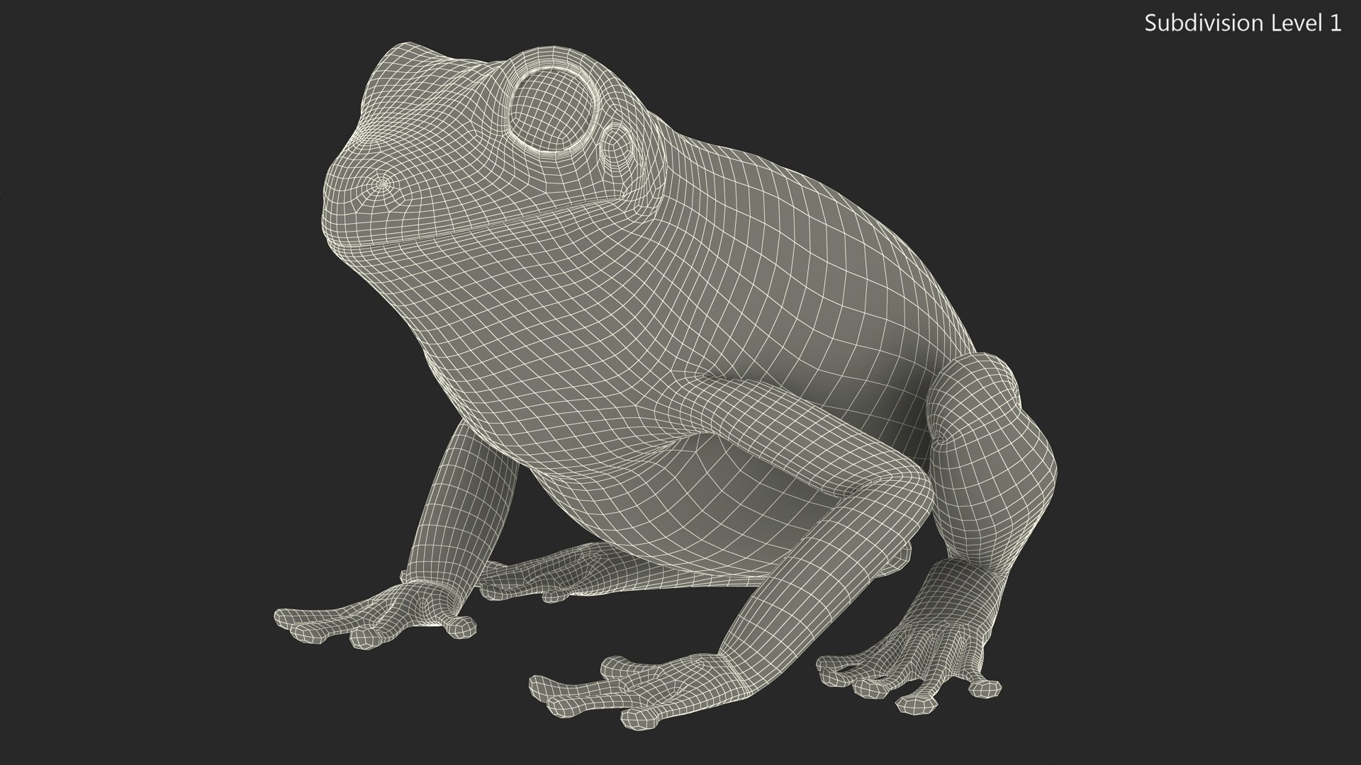3D Realistic Green Tree Frog Model - TurboSquid 2249637