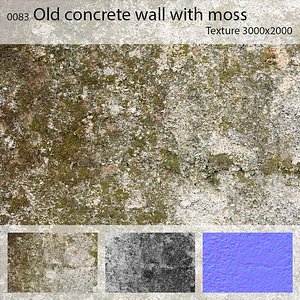 0083 Old concrete wall with moss