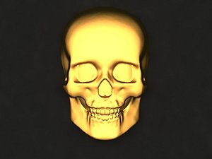 Skull