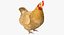 Collezione di animali da fattoria truccati, grande 4