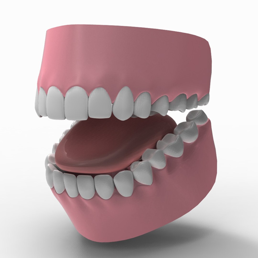 simona female anatomy 3d model https://p.turbosquid.com/ts-thumb/Eh/1gDyHh/B27wjQ4q/031/jpg/1321208146/1920x1080/fit_q87/a820237c62c219a3dc3514793b67f19b00161646/031.jpg