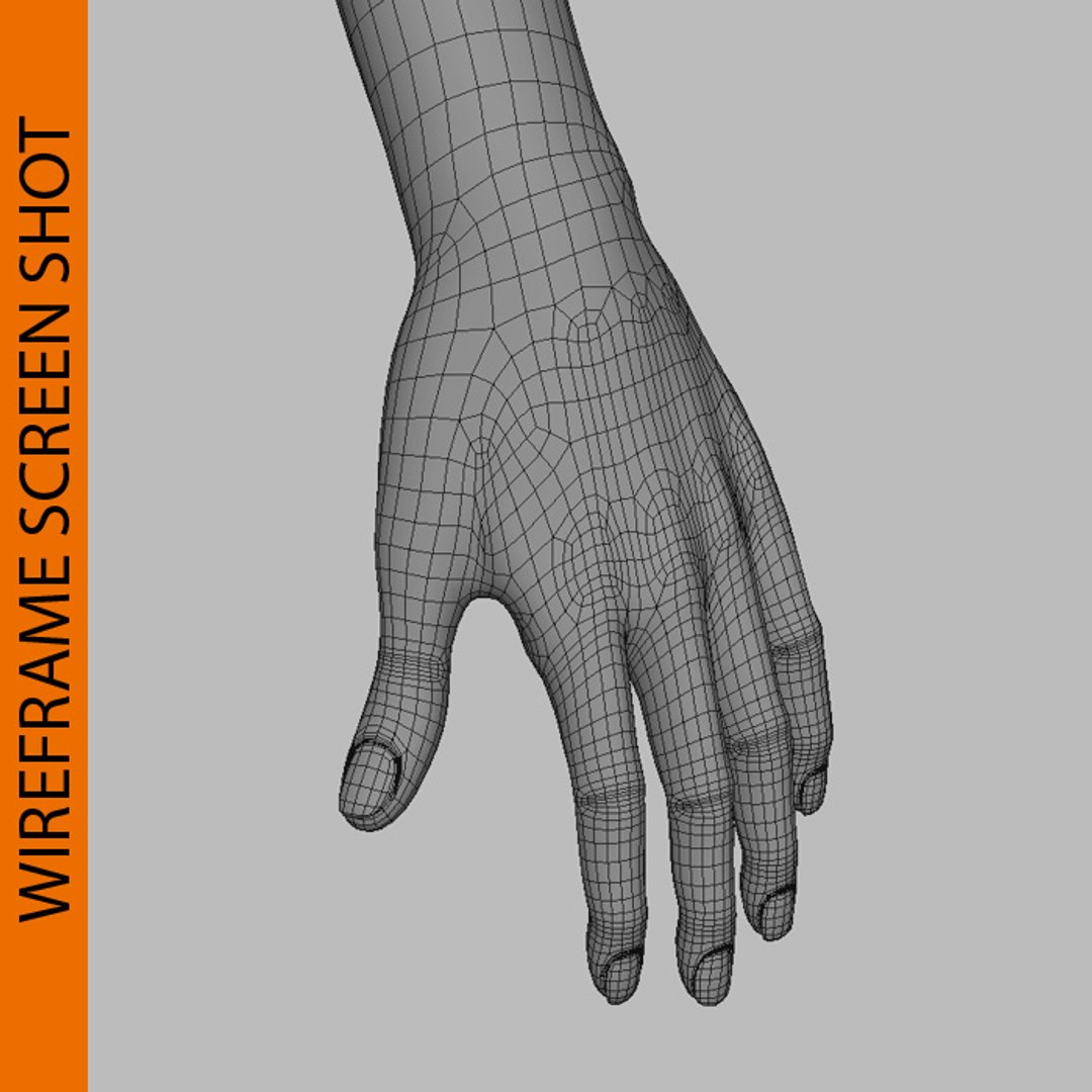 simona female anatomy 3d model https://p.turbosquid.com/ts-thumb/Eh/1gDyHh/puFWSJbs/wire4/jpg/1321208146/1920x1080/fit_q87/3f15ca1403b2eb23ba97564570abfa0692fa2422/wire4.jpg