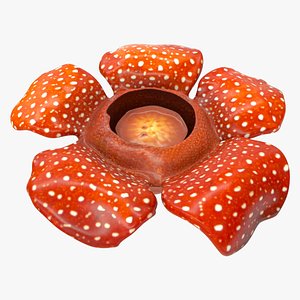 3D rafflesia flower