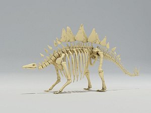 Dino Stegosaurus Skeleton