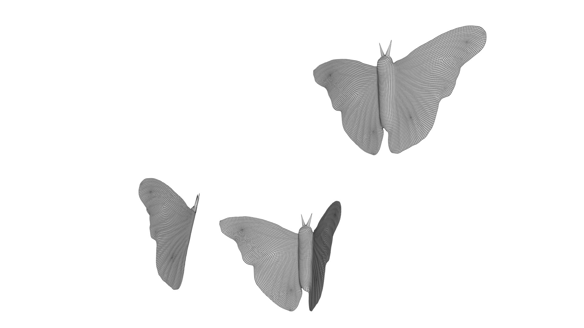 Butterfly 3D https://p.turbosquid.com/ts-thumb/Eh/KJCkcH/JA/butterfly_wireframe2/png/1660105133/1920x1080/fit_q87/9b3d2e760d62098013738fc0955bc065f741a6d8/butterfly_wireframe2.jpg